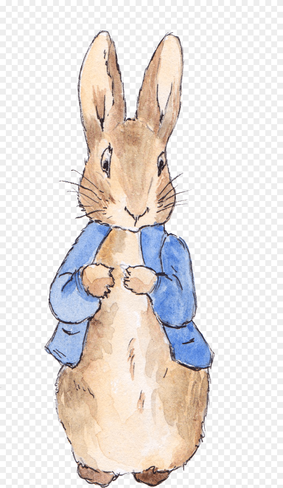 Watercolor Love Painted Of Invitation Tale Birthday Transparent Peter Rabbit, Person, Animal, Mammal, Head Free Png Download