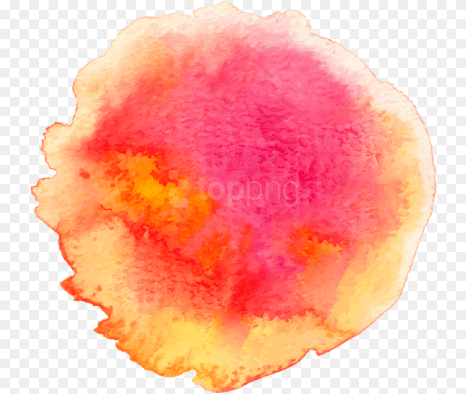 Download Watercolor Paint Clipart Watercolor Paint, Flower, Petal, Plant, Mineral Free Transparent Png