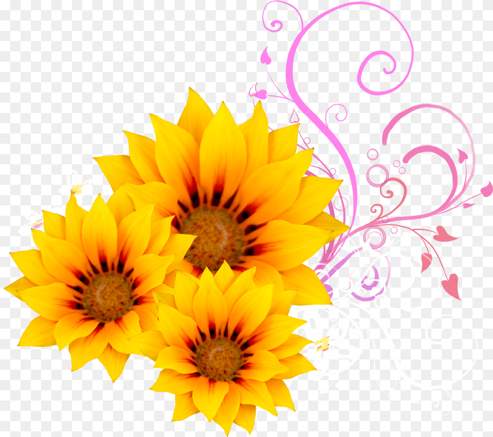 Download Watercolor Sunflower Sunflower Pink, Art, Floral Design, Flower, Graphics Free Png
