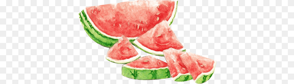 Download Watermelon Watercolour Watermelon Watercolor Frutos, Food, Fruit, Plant, Produce Free Png