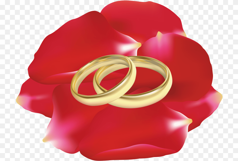 Download Wedding Rings In Rose Petals Clipart Photo Rings Art Wedding Flower, Accessories, Jewelry, Petal, Plant Free Png