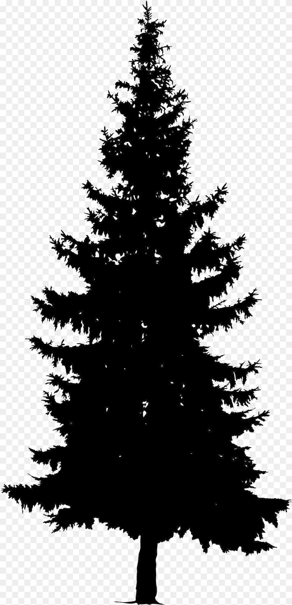 Download Welcome To Brittu0027s Caf Pine Tree Vector Pine Tree Vector, Fir, Plant, Conifer, Chandelier Png Image