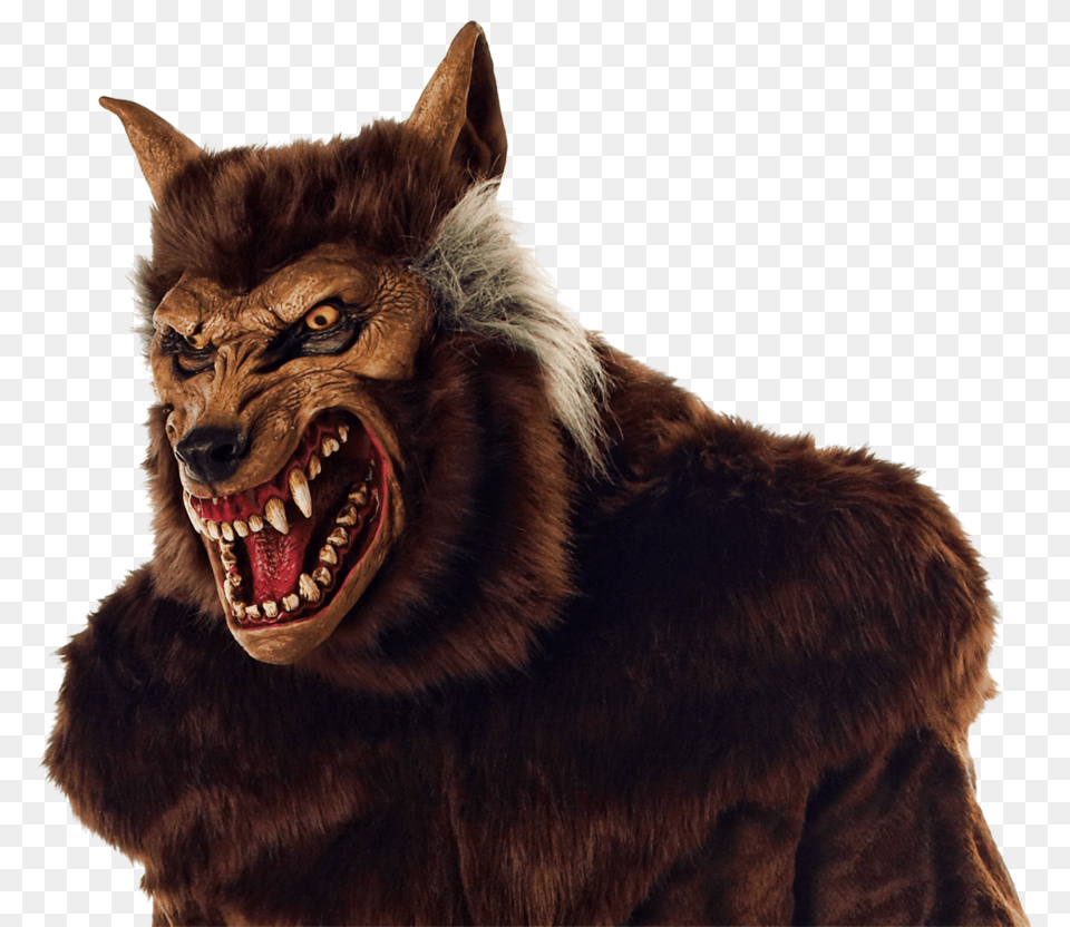 Werewolf Photos Werewolf Halloween Costume, Animal, Lion, Mammal, Wildlife Free Png Download