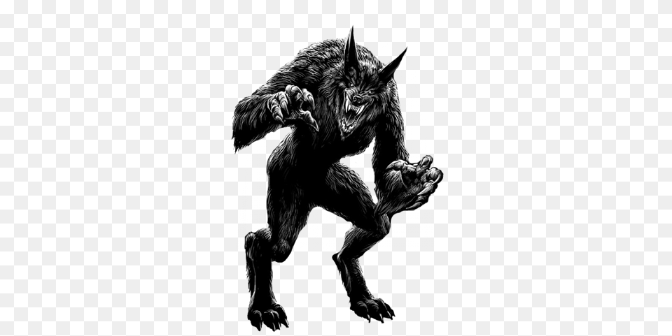 Download Werewolf Werewolf, Animal, Ape, Mammal, Wildlife Png Image