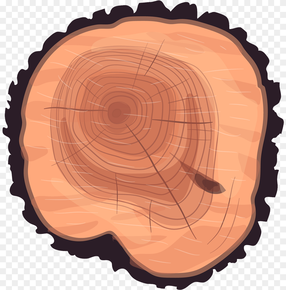 Download Wheel Eucalyptus Stump Tree Cartoon Tree Trunk Texture, Plant, Wood, Lumber, Face Png