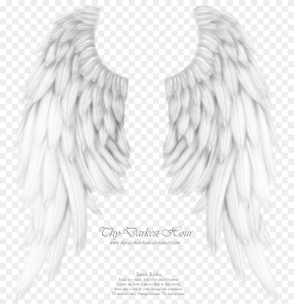 Download White Angel Wings Transparent Clipart Drawing White Angel Wings Transparent, Animal, Bird, Vulture Png