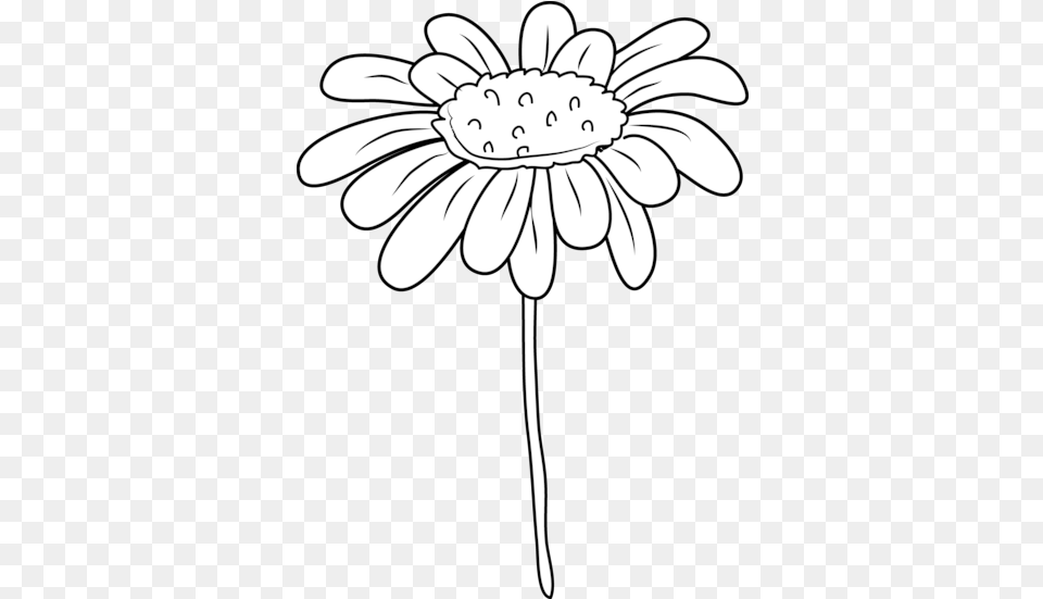 Download White Daisy Drawing Daisy Flower Clipart Black And White, Plant, Petal, Anther Png Image