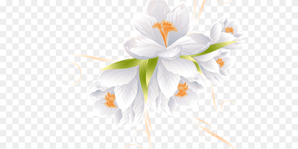 White Flower Clipart Transparent Background White Flower, Anther, Art, Floral Design, Graphics Free Png Download