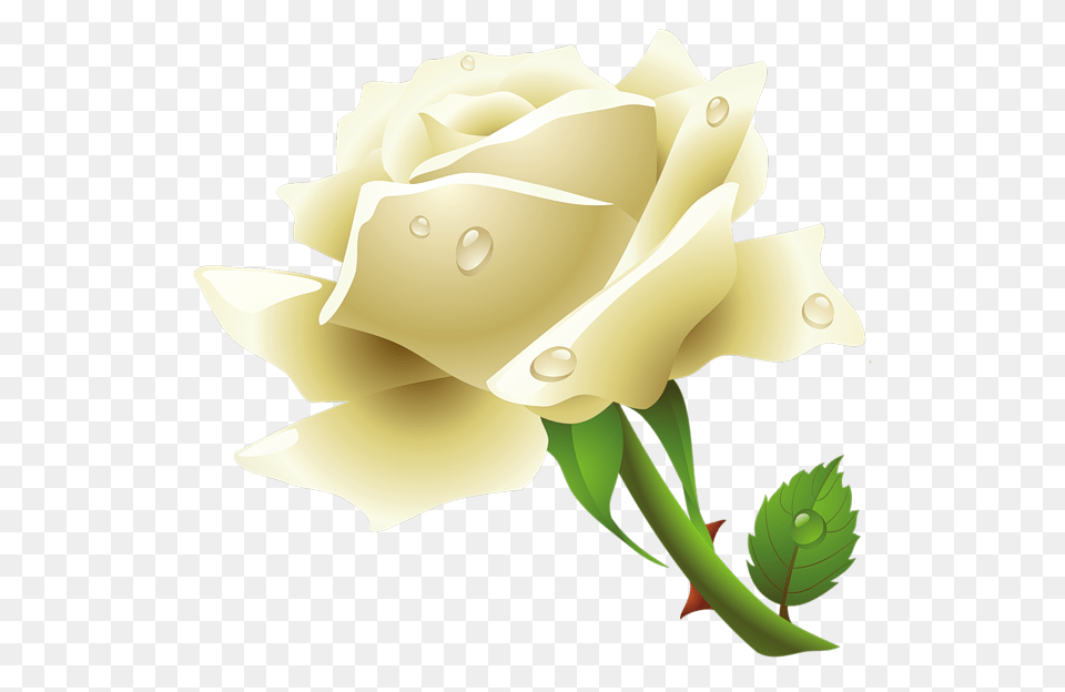 Download White Rose Image And Clipart White Rose, Flower, Plant, Animal, Fish Free Transparent Png