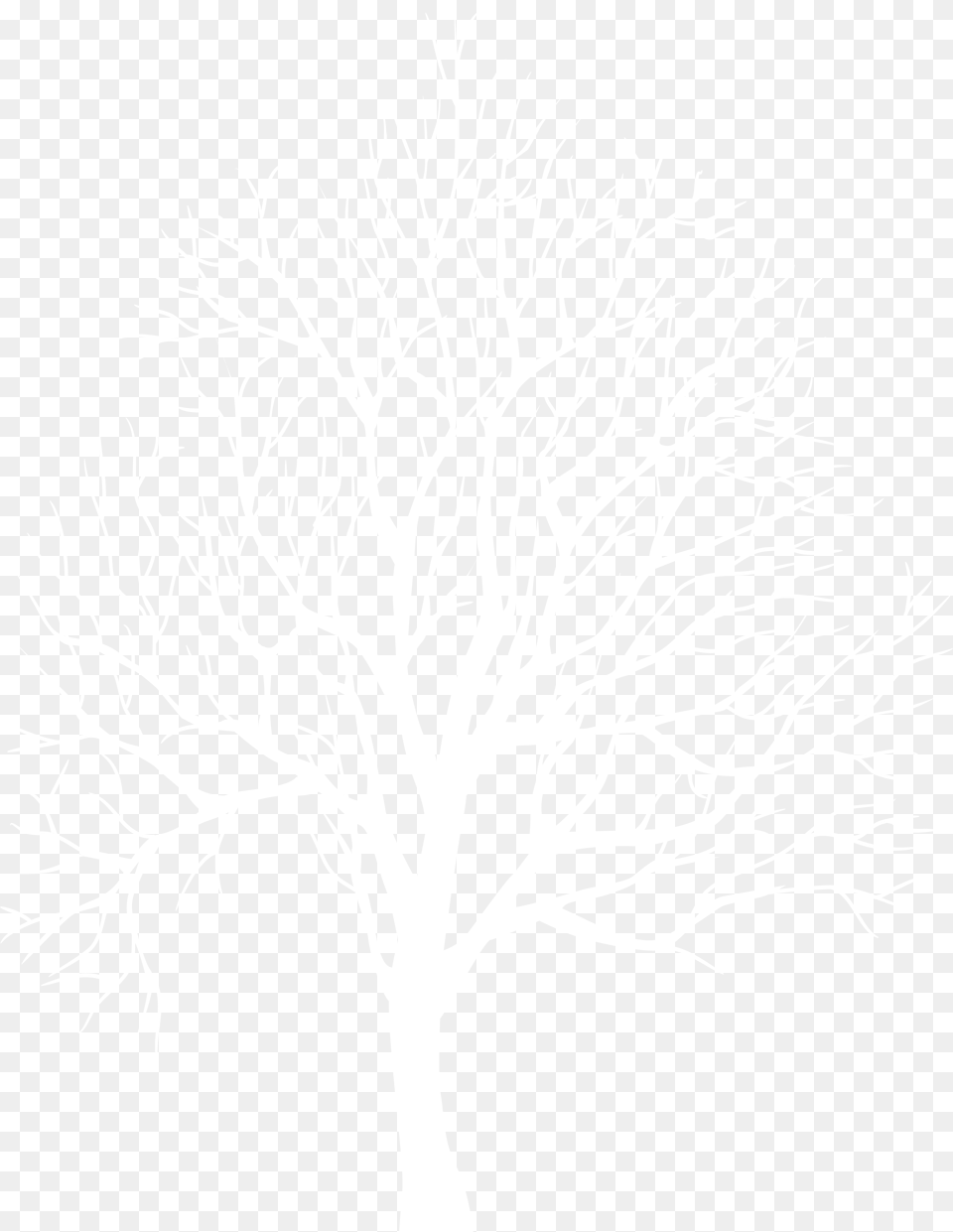Download White Tree Silhouette White Tree Silhouette, Plant, Art, Drawing Free Transparent Png