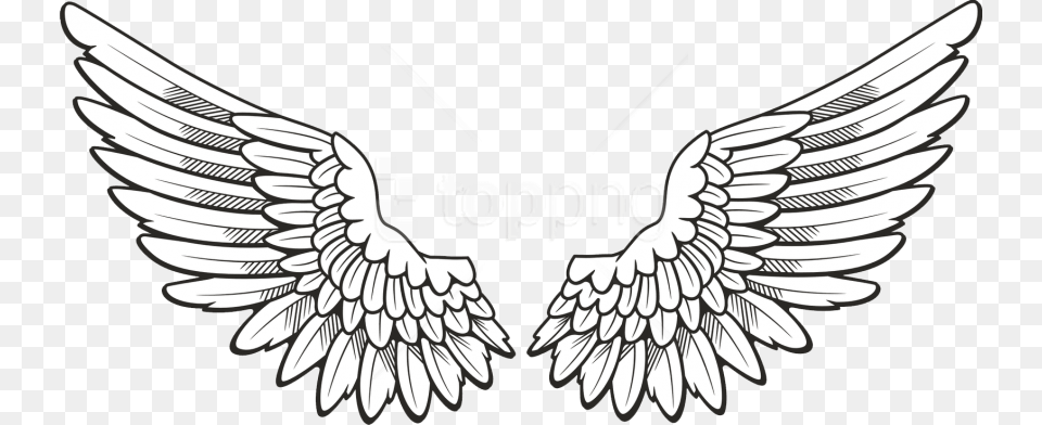 Download White Wings Clipart Photo Angel Wings Drawing, Emblem, Symbol, Animal, Bird Png