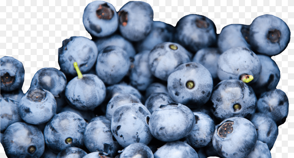 Download Wild Blueberries Credit Blueberry Texture Full Do Blueberries Taste Like, Berry, Food, Fruit, Plant Png Image