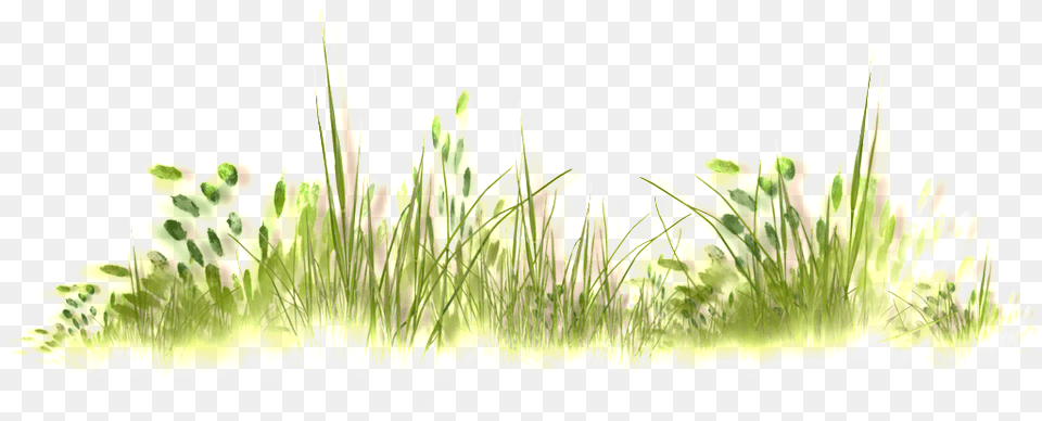 Download Wild Grass Thick Transparent Watercolor Grass Transparent, Green, Moss, Plant, Vegetation Png Image