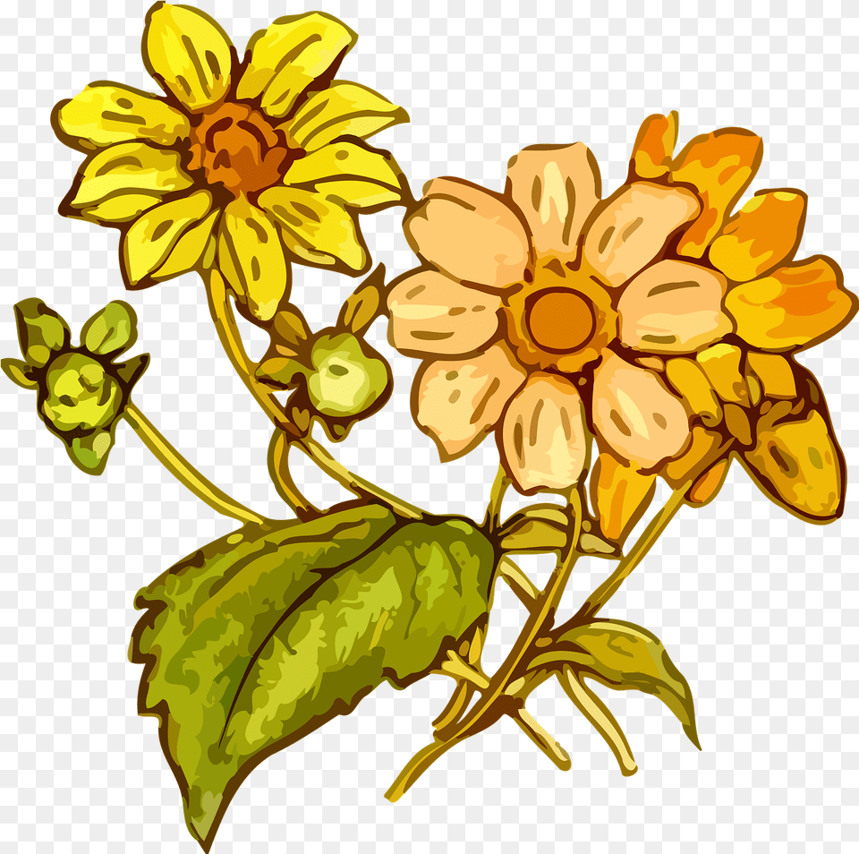 Download Wildflowers Drawing The Best 2 Yellow Flower Cretaceous Plants Line Art, Plant, Daisy, Floral Design, Pattern Free Transparent Png