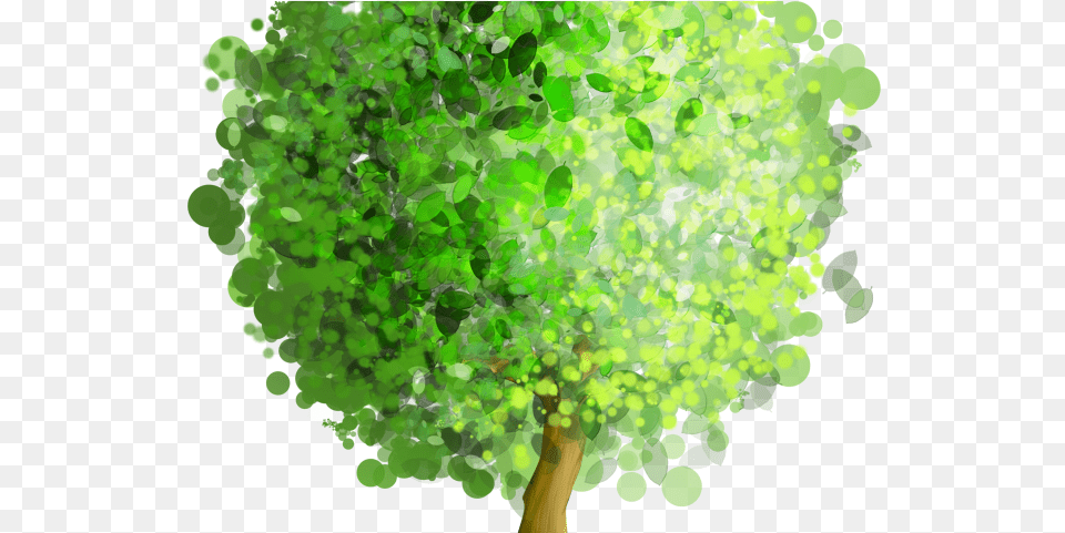 Download Willow Tree Clipart Tree Art, Green, Plant, Vegetation, Oak Png