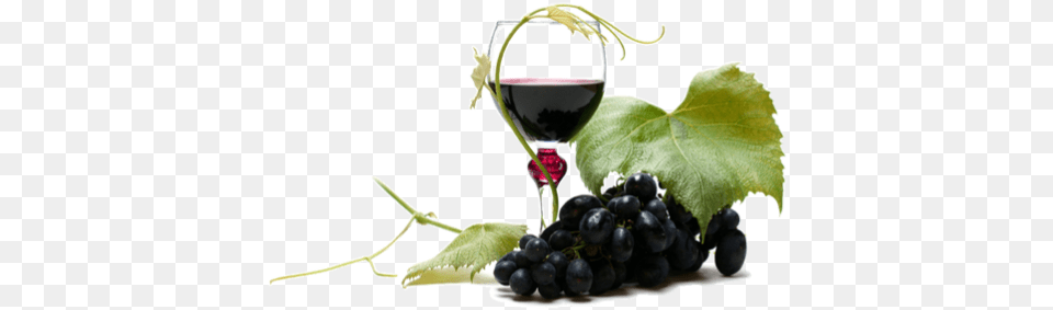 Download Wine Clipart Wine, Glass, Food, Fruit, Produce Free Png