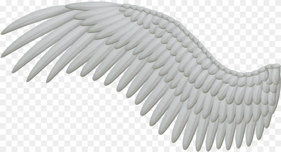 Download Wings Hd, Animal, Bird, Vulture, Eagle Free Transparent Png