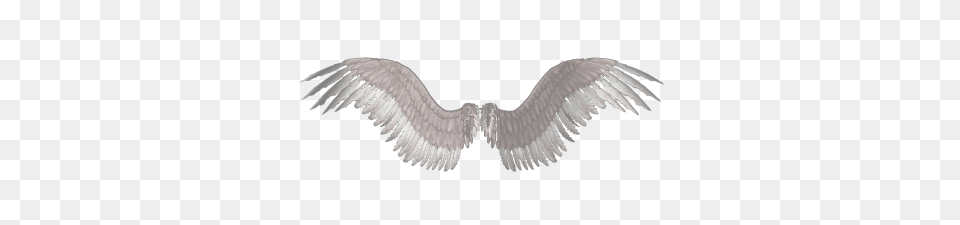 Download Wings Tattoos Transparent Image And Clipart, Animal, Bird, Vulture, Flying Png