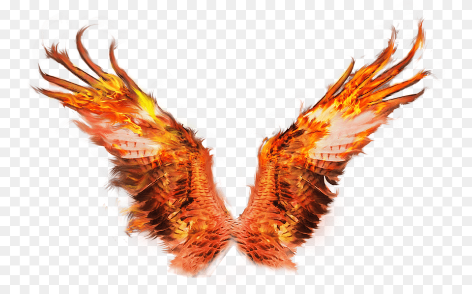 Download Wings Tigers Fire Wing Transparent Image Fire Wings, Person Free Png