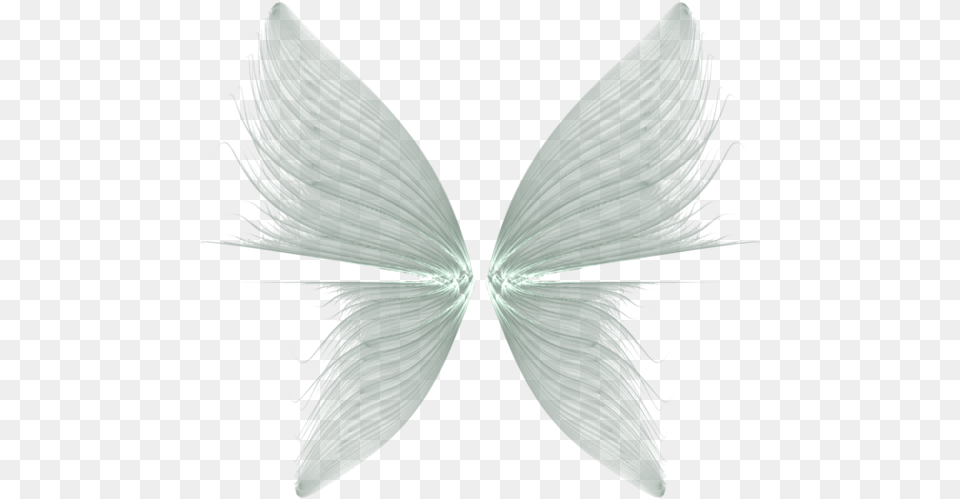 Download Wings Transparent Background Fairy Wings Transparent Background, Accessories, Person, Woman, Female Png