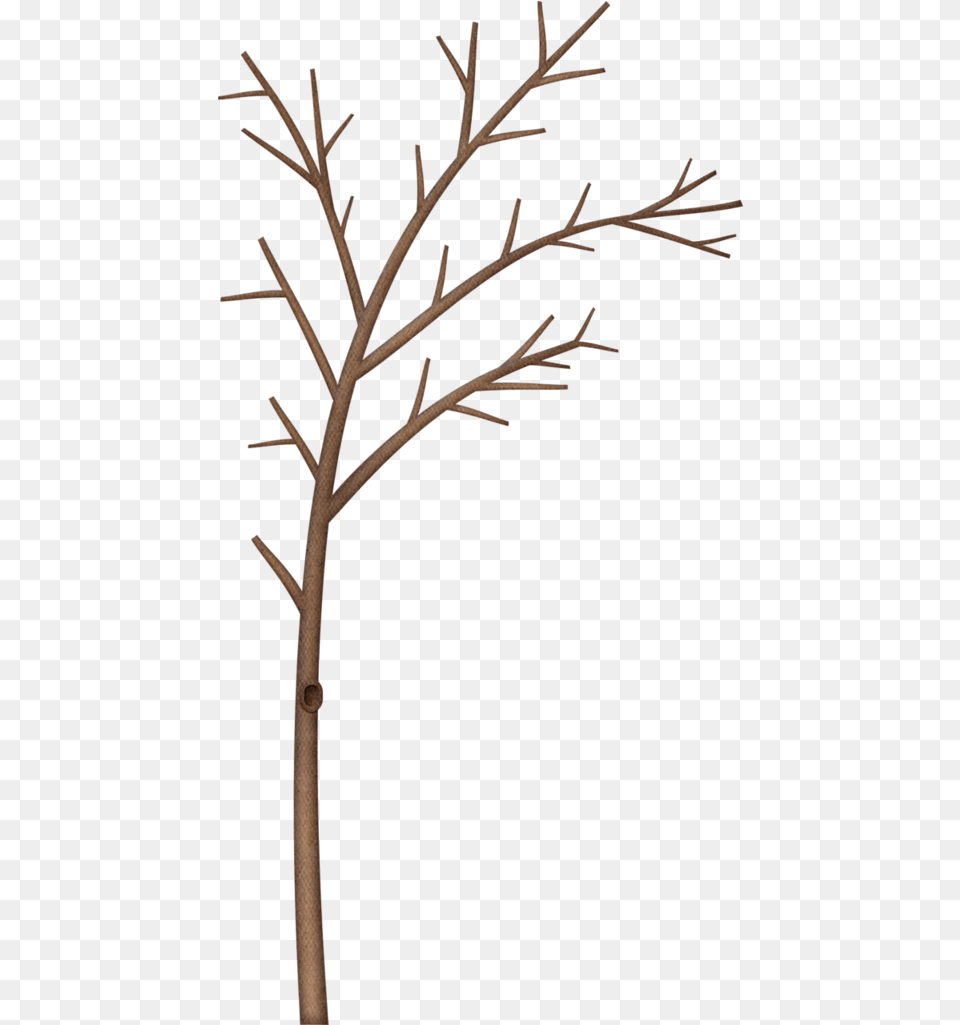 Winter Tree Branch Border Clipart Hd Snow Winter Tree Branch Clipart Border, Plant, Coat Rack Free Png Download