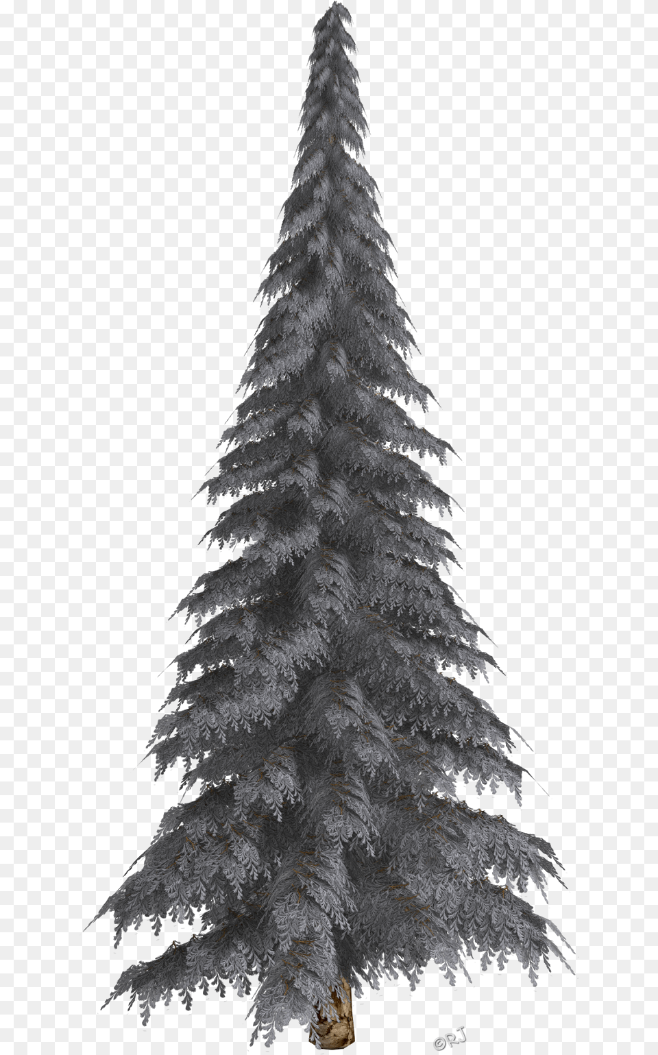 Download Winter Trees Christmas Christmas Tree, Fir, Plant, Animal, Bird Free Transparent Png