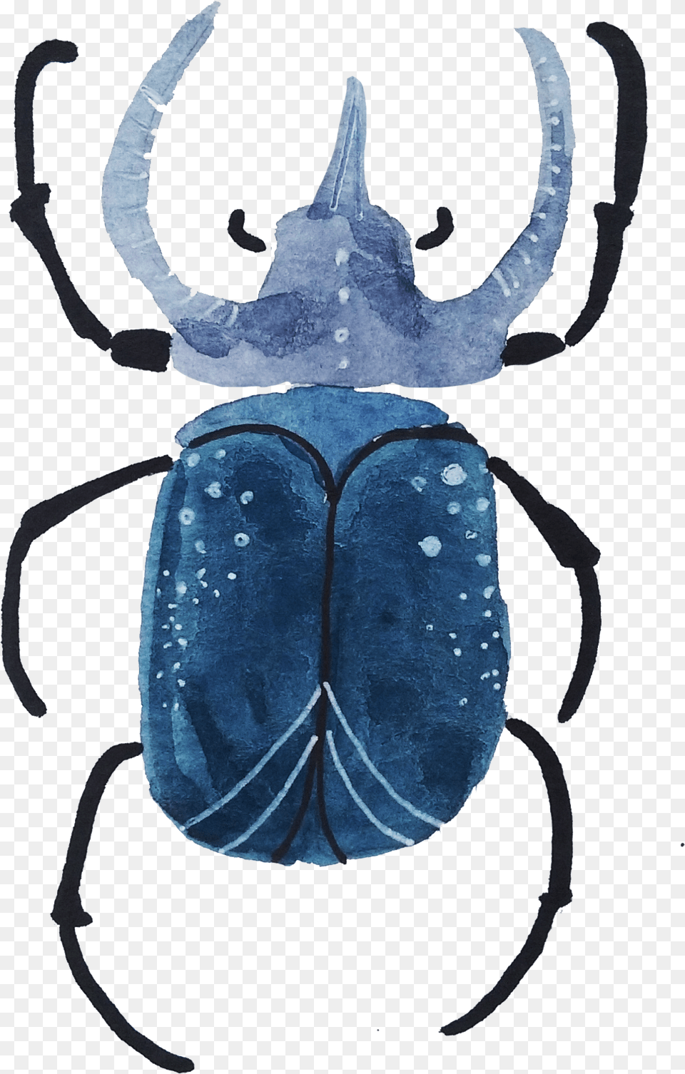 With Both Watercolors And Gouache Dung Beetle Dung Beetle, Animal, Dung Beetle, Insect, Invertebrate Free Png Download