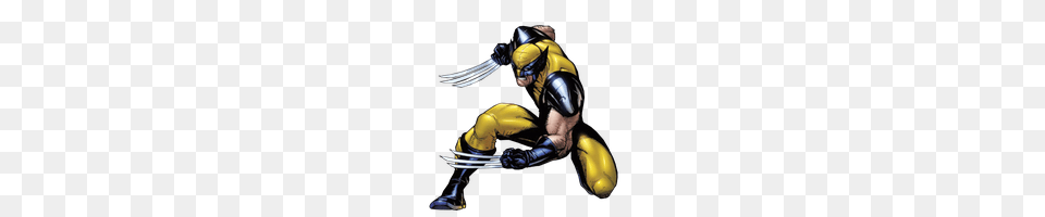 Download Wolverine Photo Images And Clipart Freepngimg, Animal, Bee, Insect, Invertebrate Free Transparent Png