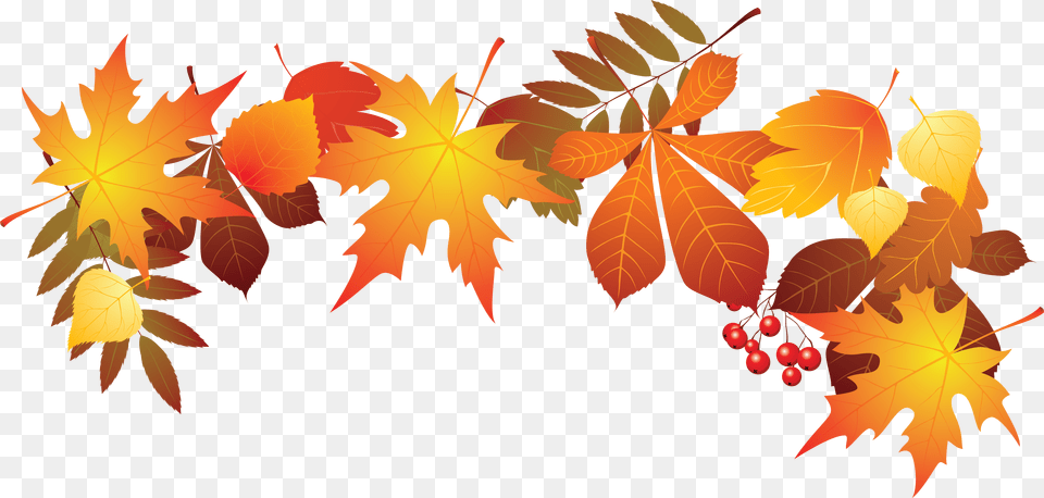 Download World Teachers Day Leaf Autumn Transparent Transparent Background Autumn Leaf, Plant, Tree, Maple, Maple Leaf Free Png