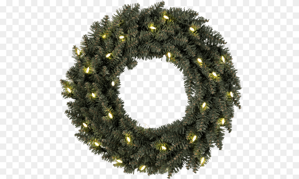 Download Wreath Calgary Wreath Christmas Light Wreath Christmas Light, Plant Free Transparent Png