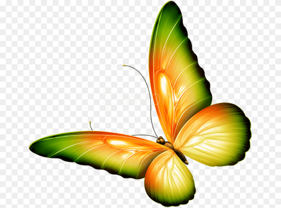 Download Yellow And Green Butterfly, Graphics, Art, Pattern, Floral Design Free Png