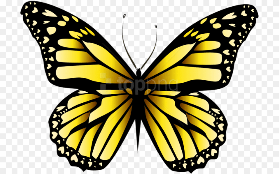Yellow Butterfly Clipar Clipart Yellow Butterflies, Animal, Insect, Invertebrate, Monarch Free Png Download