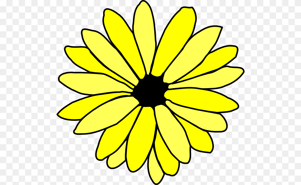 Download Yellow Daisy Clipart, Flower, Petal, Plant, Sunflower Png