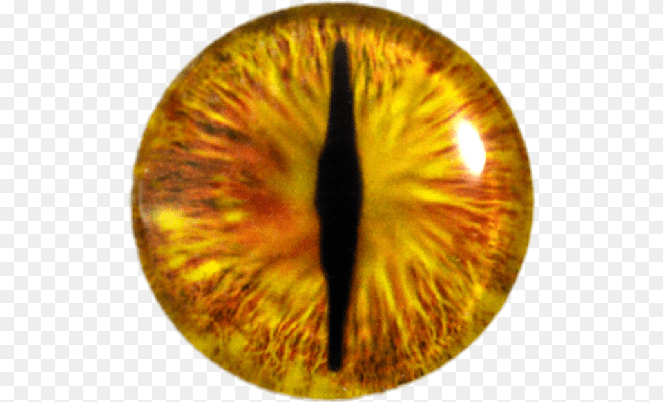 Yellow Dragon Eye Full Size Pngkit, Accessories, Sphere, Gemstone, Jewelry Free Png Download
