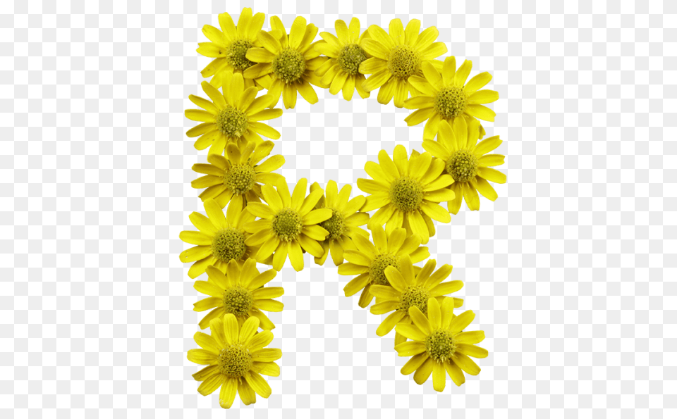 Download Yellow Flowers Font Letters With Yellow Flower Flores Amarillas Con Letras, Daisy, Flower Arrangement, Petal, Plant Free Transparent Png