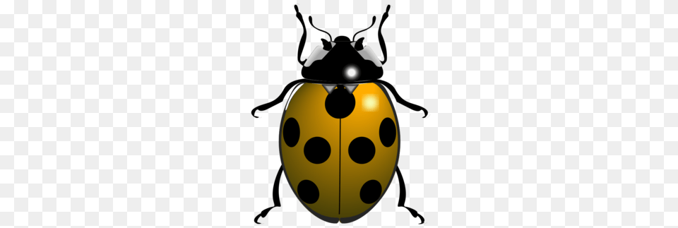 Download Yellow Ladybug Clipart Ladybird Beetle Clip Art, Animal, Ammunition, Grenade, Weapon Png