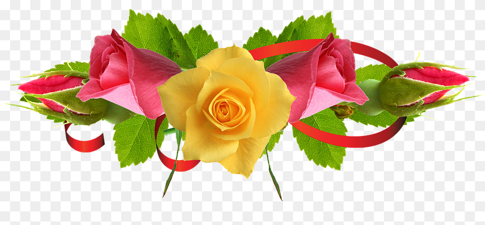 Download Yellow Rose Flower Urs Mujahid E Millat 2020, Flower Arrangement, Flower Bouquet, Plant Free Transparent Png