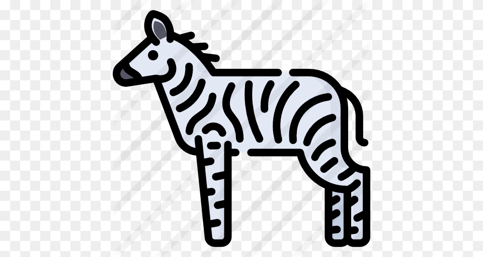 Download Zebra Clipart Line Terrestrial Animal Clip Art Product, Stencil, Wildlife, Kangaroo, Mammal Png Image