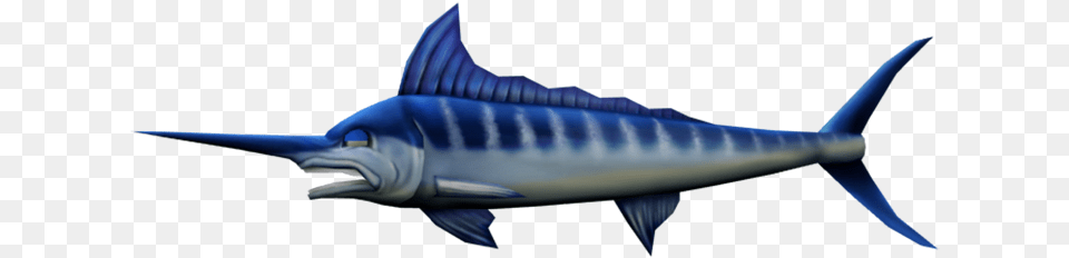 Download Zip Archive Atlantic Blue Marlin, Animal, Sea Life, Fish, Swordfish Png Image