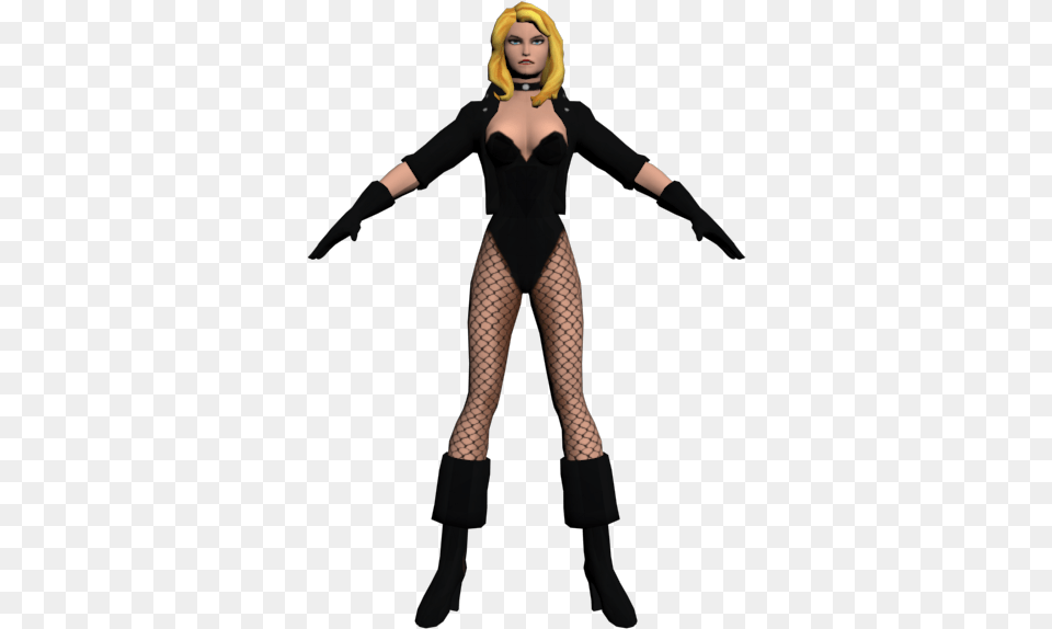 Download Zip Archive Black Canary 3d Model, Clothing, Costume, Person, Adult Png