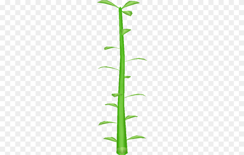 Download Zip Archive Grass, Bamboo, Plant Free Png