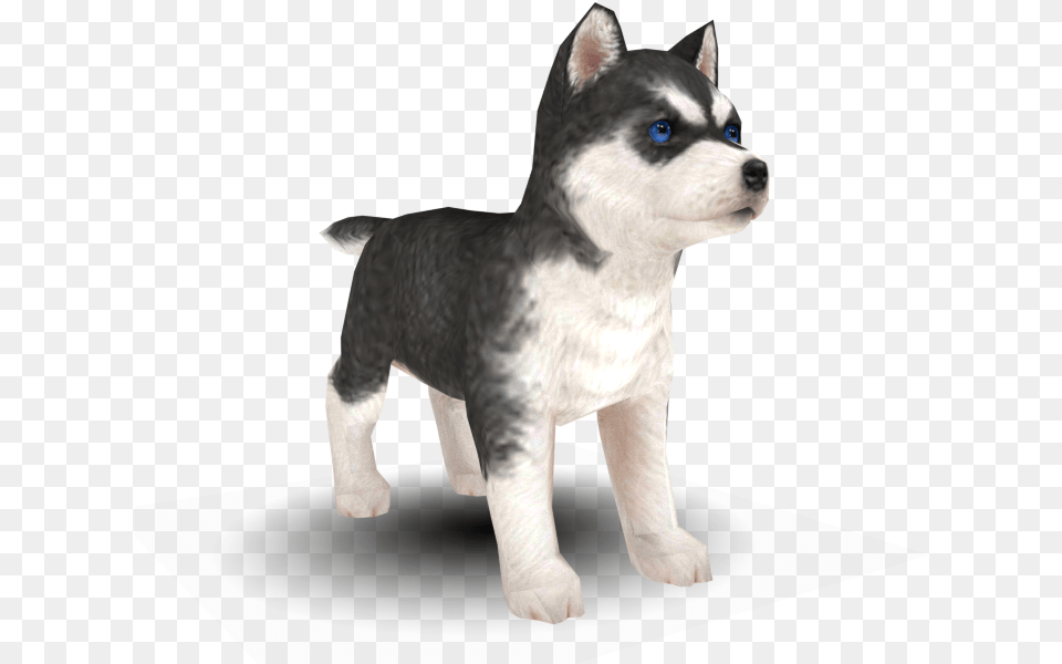 Zip Archive Husky Puppys, Animal, Canine, Dog, Mammal Free Png Download