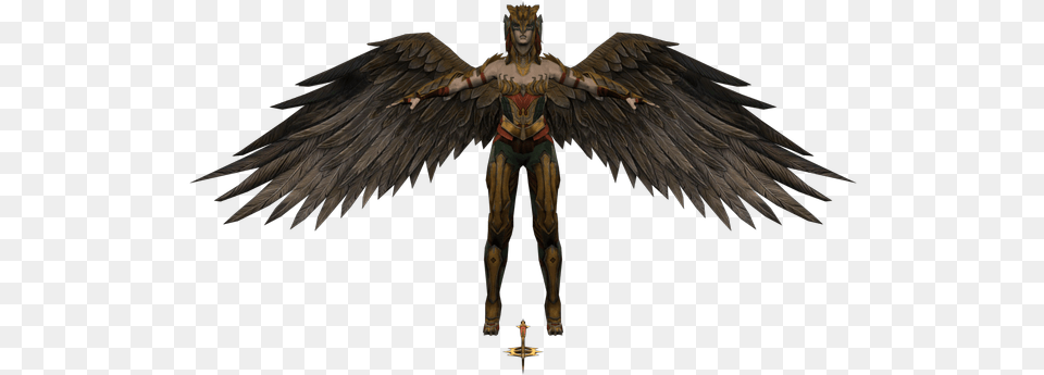 Download Zip Archive Injustice Gods Among Us, Animal, Bird, Angel Free Png