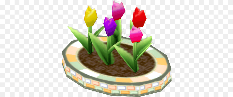 Download Zip Archive Lady Tulip, Potted Plant, Plant, Flower, Petal Free Png