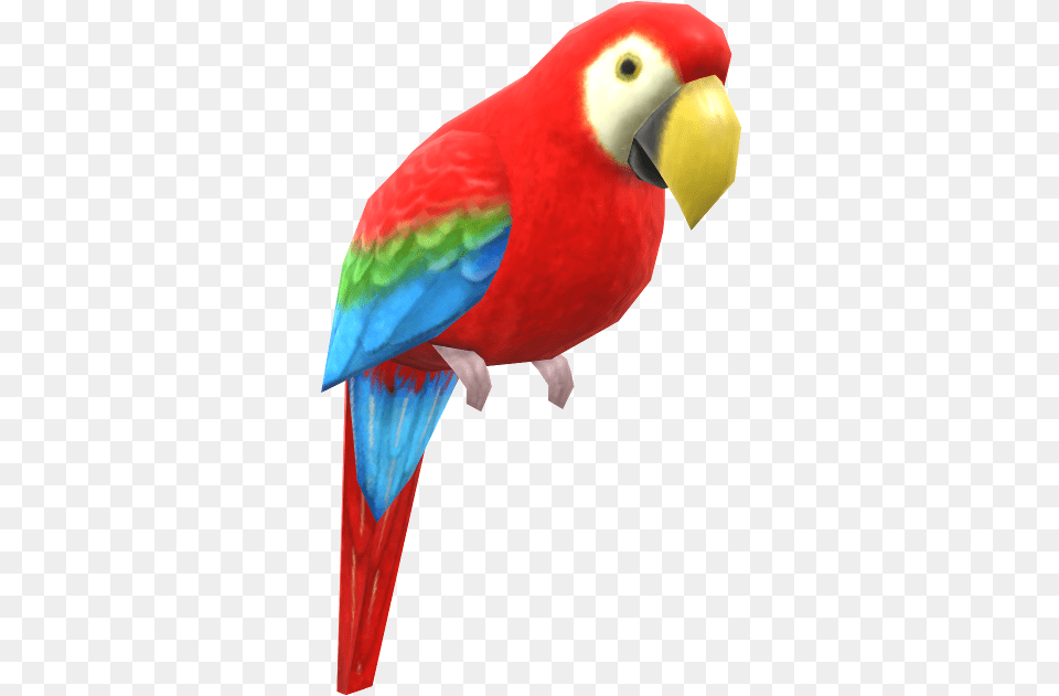 Download Zip Archive Macaw, Animal, Bird, Parrot Png