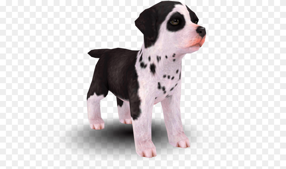 Download Zip Archive Models Resource Nintendogs, Animal, Canine, Dog, Mammal Png Image