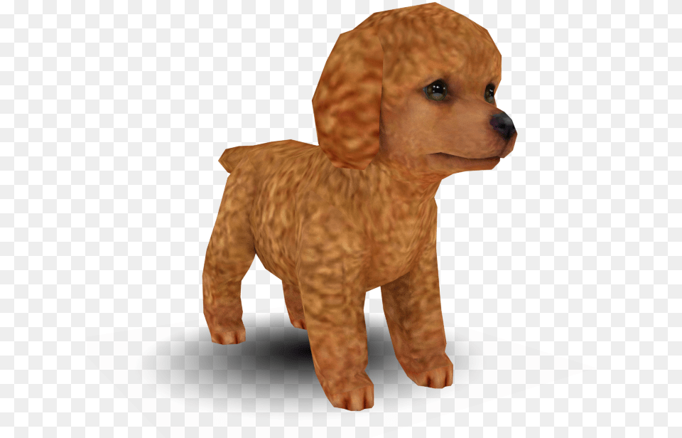 Zip Archive Nintendogs Brown Toy Poodle, Animal, Canine, Dog, Mammal Free Png Download