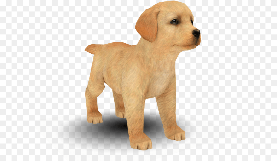 Download Zip Archive Nintendogs Shiba Inu, Animal, Canine, Dog, Mammal Free Transparent Png