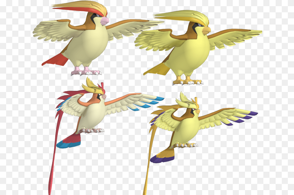 Zip Archive Pidgeotto Pokemon 3d Model, Animal, Bird, Jay Free Png Download