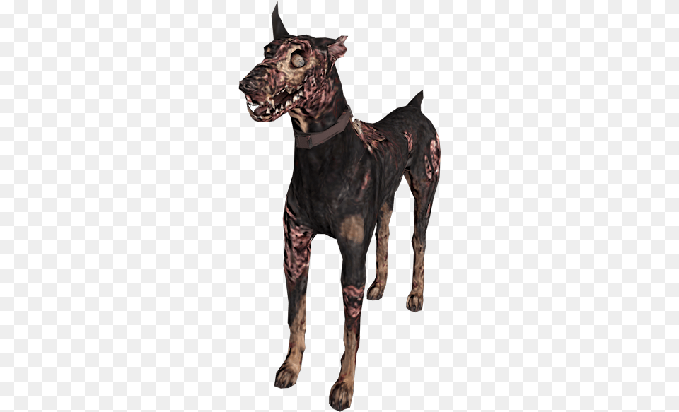 Download Zip Archive Resident Evil Cerberus, Animal, Pet, Canine, Mammal Free Png